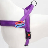 Quick Fitting Comfortable Dog Harness for dachshunds and small dog breeds purple