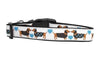 dachshund collars and harnesses