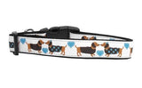 dachshund collars and harnesses