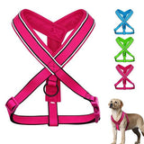Easy on Y dog harness promotional image