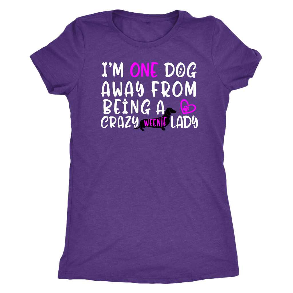 Funny dachshund t shirt one dog away from being a crazy weenie lady vintage purple