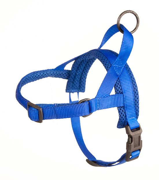 Quick Fitting Dog Harness Red & Blue Blowout