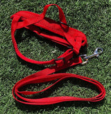Quick Fitting Dog Harness Red & Blue Blowout
