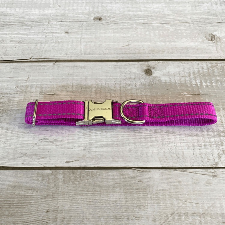 Reflective Dog Collar
