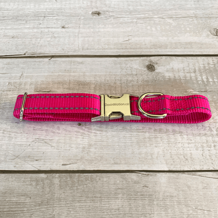 Reflective Dog Collar