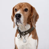 Personalized Dog Collar ID Tag