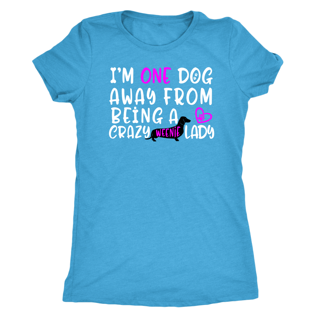 Funny dachshund t shirt one dog away from being a crazy weenie lady vintage turquoise