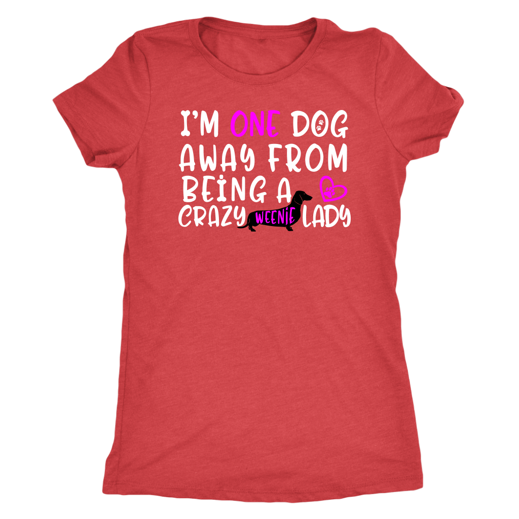 Funny dachshund t shirt one dog away from being a crazy weenie lady vintage red