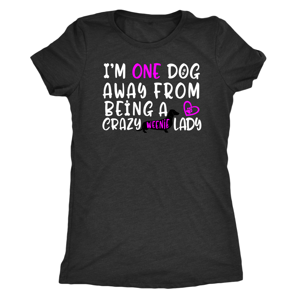 Funny dachshund t shirt one dog away from being a crazy weenie lady vintage black
