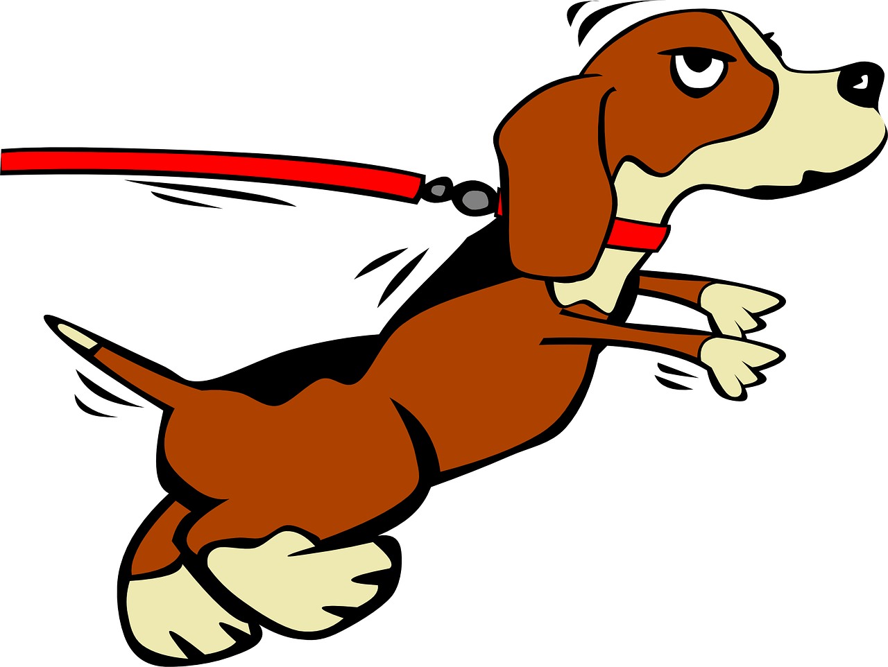 What you Don't Know About Dog Collars May Shock You - DoxinMotion