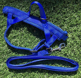 Quick Fitting Dog Harness Red & Blue Blowout