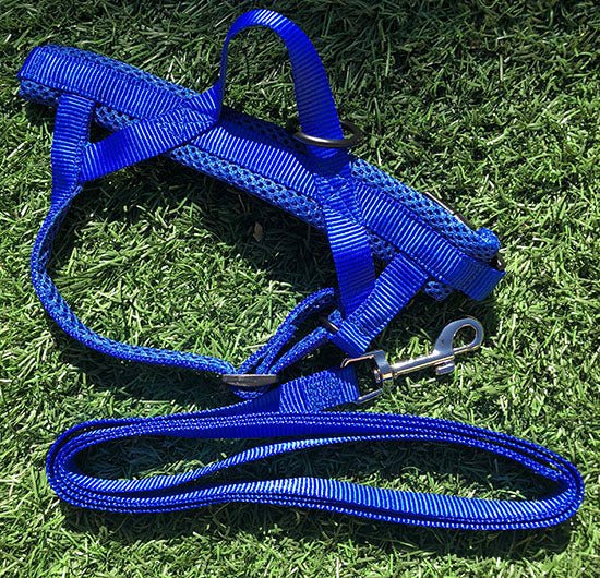 Quick Fitting Dog Harness Red & Blue Blowout