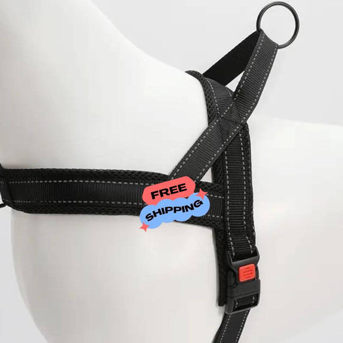 Quick Fitting Comfortable Dog Harness for dachshunds and small dog breeds black