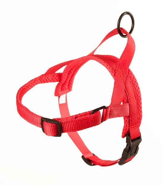 Quick Fitting Dog Harness Red & Blue Blowout