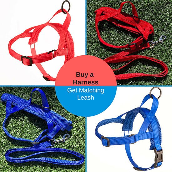 Quick Fitting Dog Harness Red & Blue Blowout